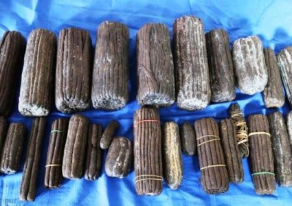 दार्चुलामा चरेससहित दुई जना पक्राउ