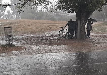सुनसरी र मोरङमा आरीघोप्टे वर्षा, बाढीको चेतावनी